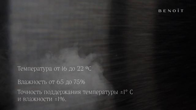 ХЬЮМИДОРЫ BENOIT КОМПАНИИ POZIS | Корпоративное видео смотреть онлайн