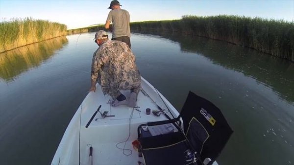 Рыбалка на Балхаше Big Fish Team