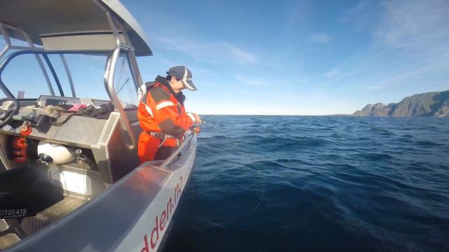 LOFOTEN - HEMMINGODDEN LODGE 2017 , May Liza Johansen, Kato Andre Bøe смотреть онлайн