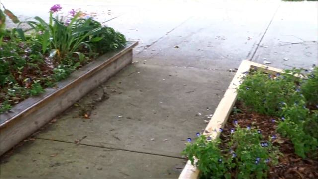 How to Landscape Your Front Yard Part 2 смотреть онлайн