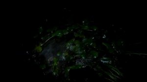 Наживка для ловли сома. Как легко наловить чёрных пиявок