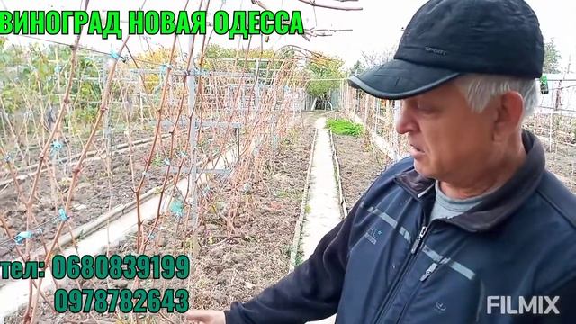 РОБОТА НА ВИНОГРАДНИКЕ В НОЯБРЕ 2020 смотреть онлайн