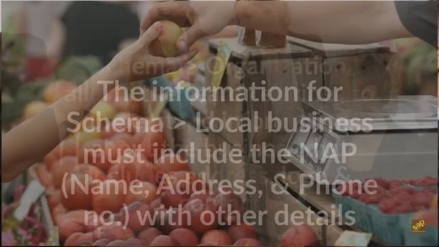 Schema SEO смотреть онлайн