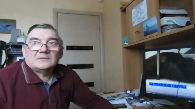 Балтийские нерпы смотреть онлайн