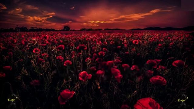 100+ песен ID на музыку в роблоксе из тик тока | Коды на музыку в роблокс из тик тока | ROBLOX 2023 смотреть онлайн