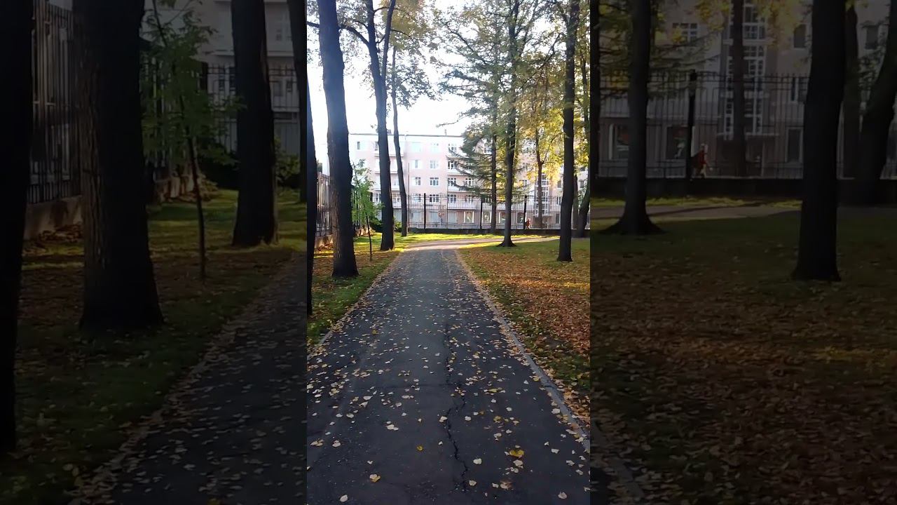 Пермь . Утро . Осенний парк смотреть онлайн