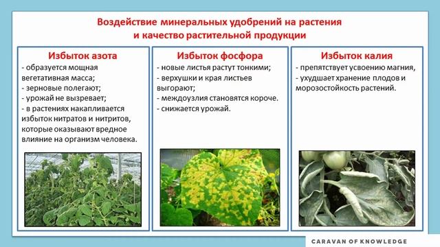 Минералды тыңайтқыштар