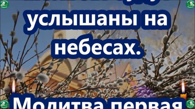 Три молитвы на Вербное воскресенье от дьявольских сил от сглаза и на крепкое здоровье. ??☦✝ Вход Ис смотреть онлайн