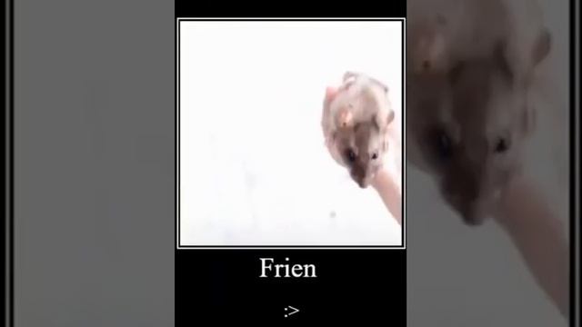 You're My Friend Now