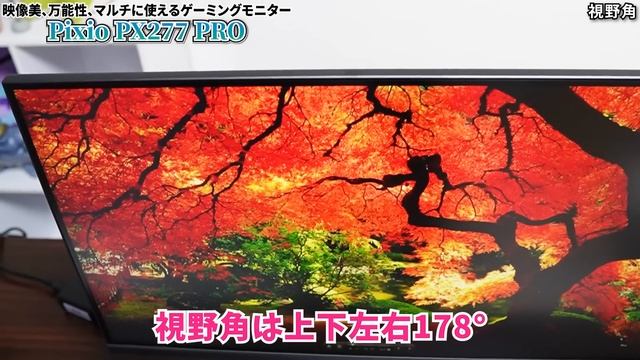 仕事からゲームまでこれ1台で完結！万能性最強のゲーミングモニターを紹介します【Pixio PX277 PRO】 смотреть онлайн