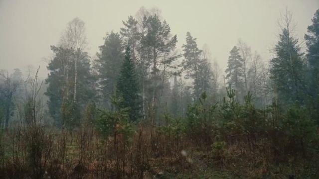 В. Бутусов - На берегу безымянной реки