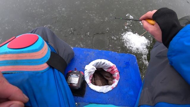 Карась зимой со льда, на поплавок и мормышку. Большой улов! смотреть онлайн
