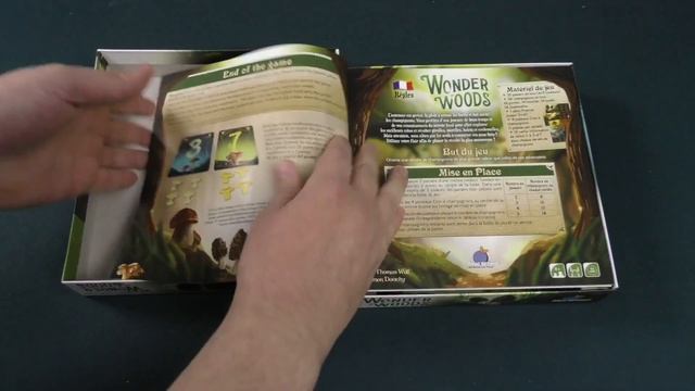 Wonder Woods - Daily Game Unboxing смотреть онлайн