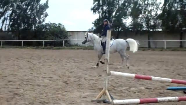 прыжок рысь смотреть онлайн