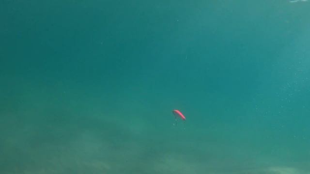 Rapala X-Rap Magnum Stick 17