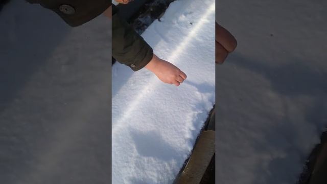 Зимний посев редиса в теплице смотреть онлайн