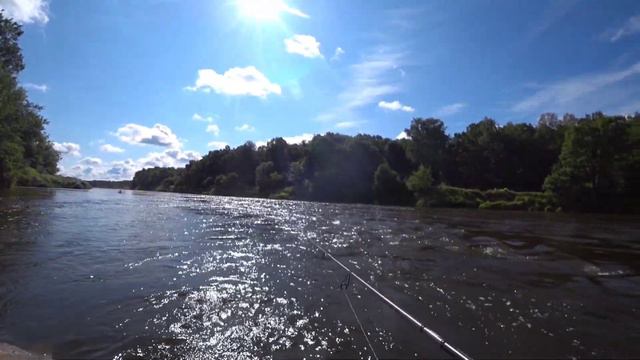 ПРИШЛИ на новый ПЕРЕКАТ, а ТААМ! Рыбалка на воблера летом 2023. смотреть онлайн