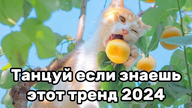 😇🦋Танцуй если знаешь этот тренд💓🍫Тренды 2024года😇 смотреть онлайн