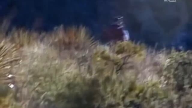 А что бы Вы сделали смотреть онлайн