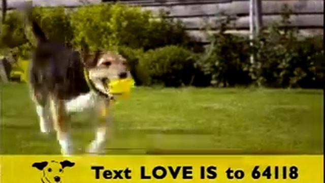 Dog's Trust Sep 08.mpg смотреть онлайн