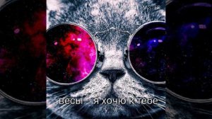 Какой ты мем по знаку зодиака