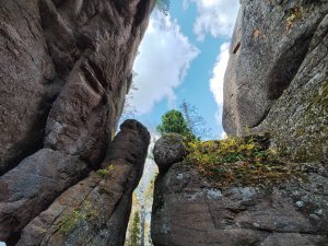 Путеводитель по Красноярску ?️ Заповедник "Красноярские Столбы" ?