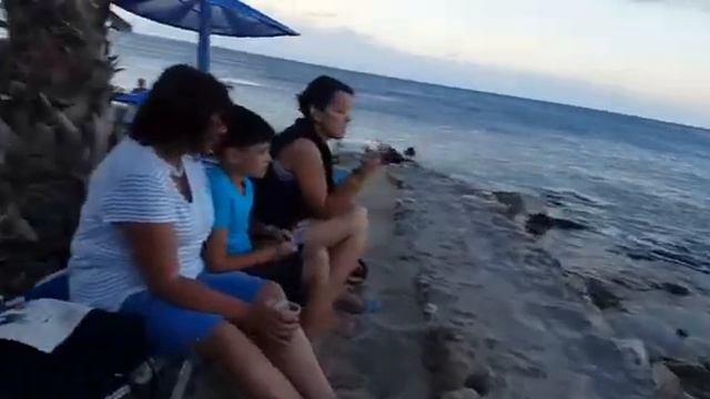 КРИТ смотреть онлайн