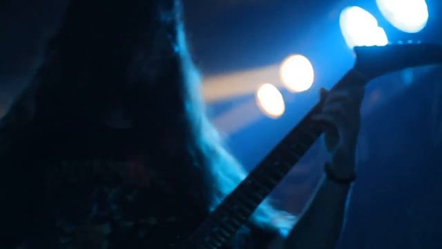 Avicularia . Птицеед дома. смотреть онлайн