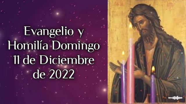 Evangelio y Homilía Domingo 11 de Diciembre de 2022, Padre Raimundo Mena. смотреть онлайн