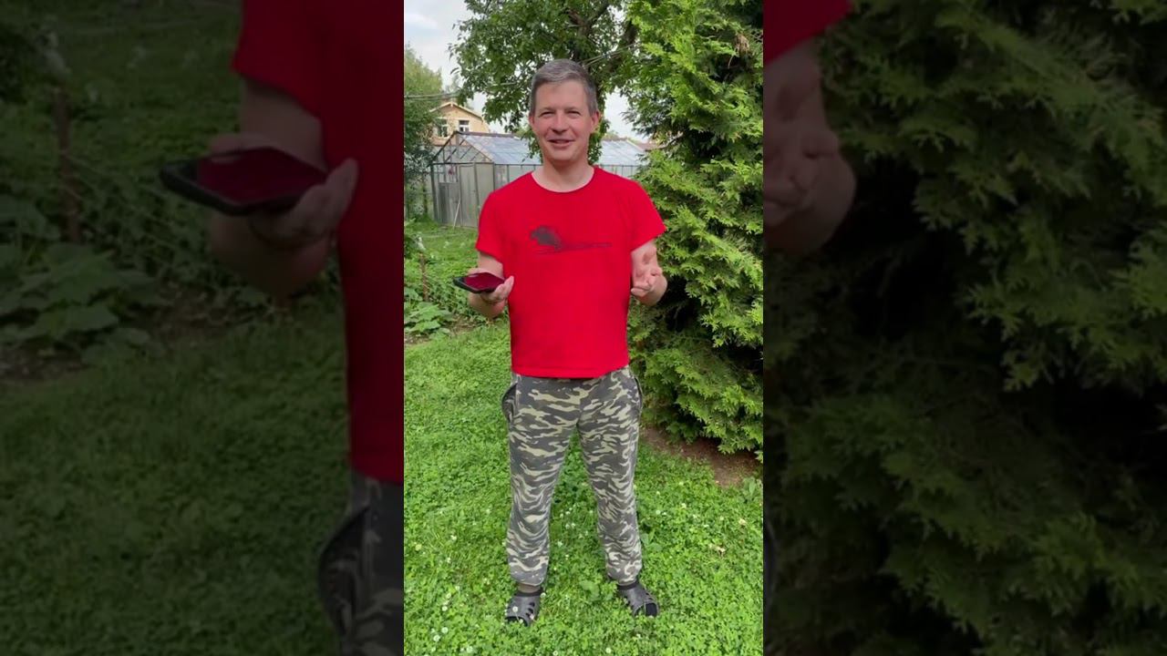 Сюрприз для тещи | Шоу-Проект - Пассивный доход через крипто-роботов смотреть онлайн