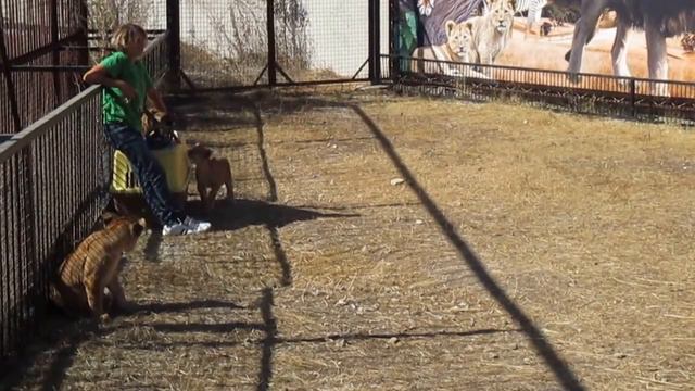 старший кипер "Тайгана" Леокадия смотреть онлайн