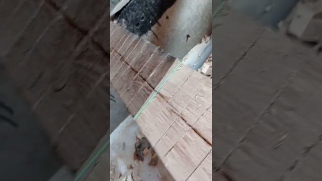 как выровнять витые лаги в уровень смотреть онлайн