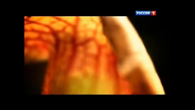 Правда о лжи. Почему мы врем. смотреть онлайн