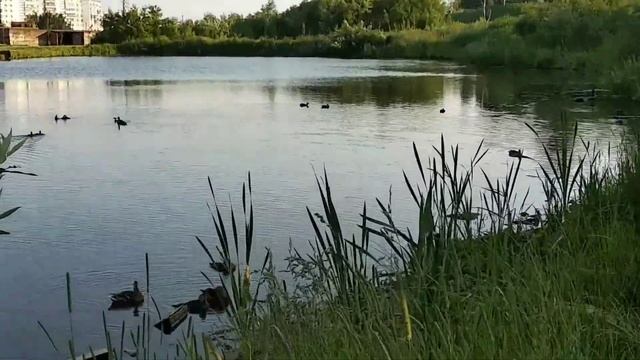 Мечта охотника смотреть онлайн