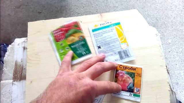 Как выглядит Милдью и Оидиум на винограднике. смотреть онлайн