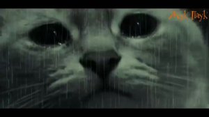 Самое грусное видео в мире