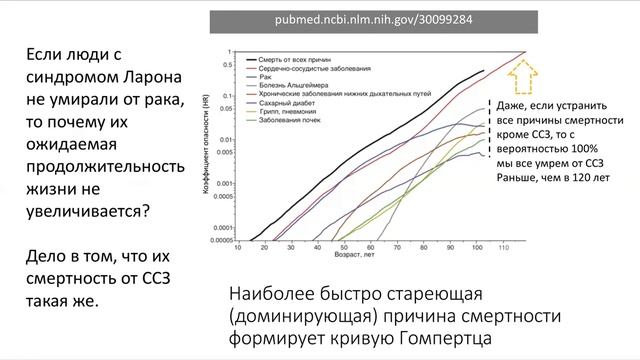 Курс Nestarenie для начинающих ученых. Урок 4. Комбинированный подход в нестарении смотреть онлайн