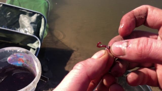 Рыбалка на ФИДЕР в МАРТЕ на РЕКЕ / Открытие СЕЗОНА 2023 смотреть онлайн