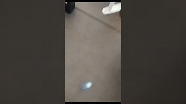 имба прогулка