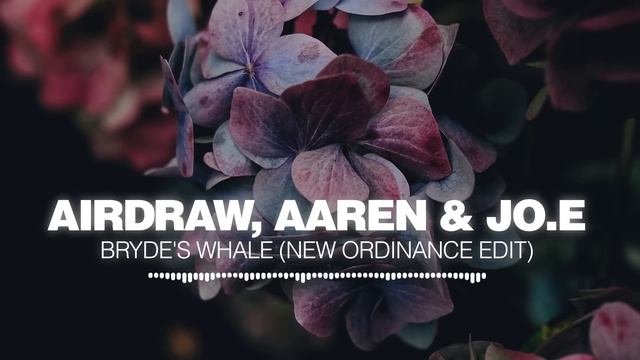 Airdraw, Jo.E & Aaren - Bryde's Whale (New Ordinance Edit) [Silk Music] смотреть онлайн
