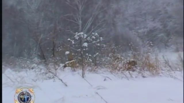 На волка смотреть онлайн