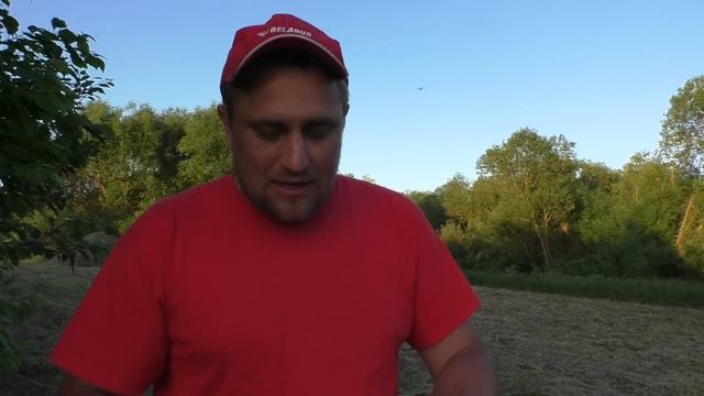 ☑️Разработал ещё один(1га)‼️ ЗАРОСШИЙ УЧАСТОК под СЕНОКОС? смотреть онлайн