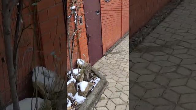 Надо ли защищать кирпич от намокания при помощи гидрофобизатора?И если да,то зачем? смотреть онлайн