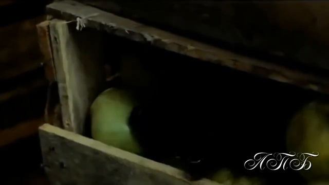 Ты береги свою душу . смотреть онлайн