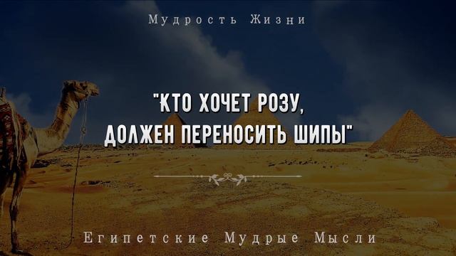 Как же мудро! Египетские мудрые мысли, которые стоит познать каждому | Пословицы, поговорки, цитаты смотреть онлайн