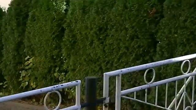 г.Хевиз ,Венгрия