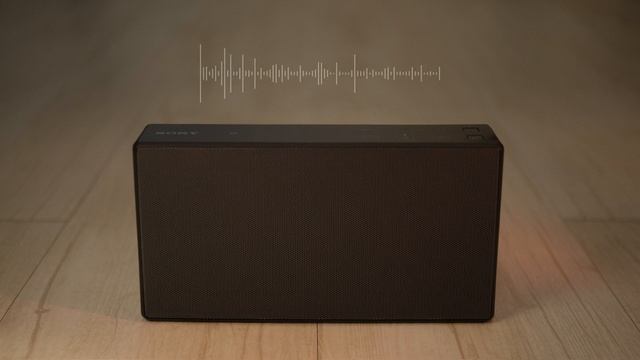 SONY srs x55 vs SONY srs x5 -Review смотреть онлайн