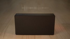 SONY srs x55 vs  SONY srs x5 -Review