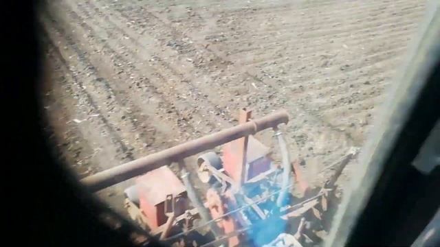 Сею кукурузу. Сорт КСС 5290, передаю приветы. смотреть онлайн