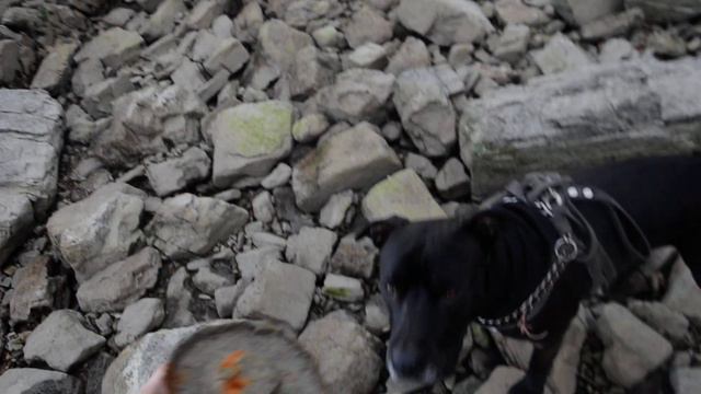 Железяка на отливе Азовского моря смотреть онлайн